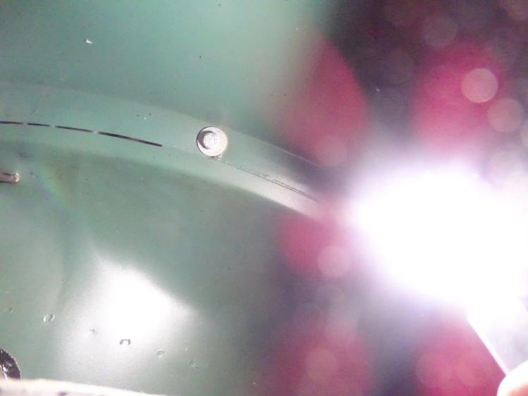 BUG WORKS,vw,���,�r�[�g��,1959,beetle